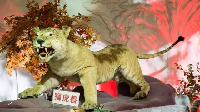  国安经典比赛回顾阻击辽小虎 