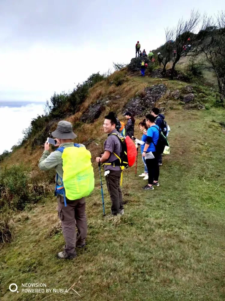关于击剑夜战：天山天虎队大胜泰山霹雳队，临门一脚致胜回归即成焦点的信息