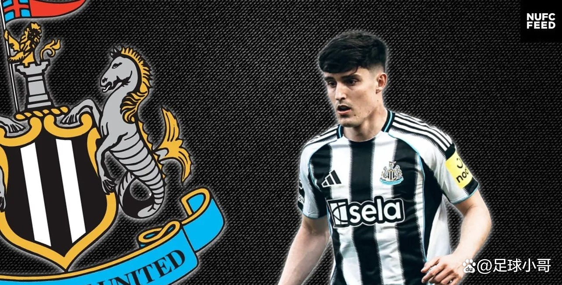 赛地聚焦——德国杯清晨热度飙升，纽卡斯尔伤情更新，媒体盛赞，资深球员宣示担当的简单介绍